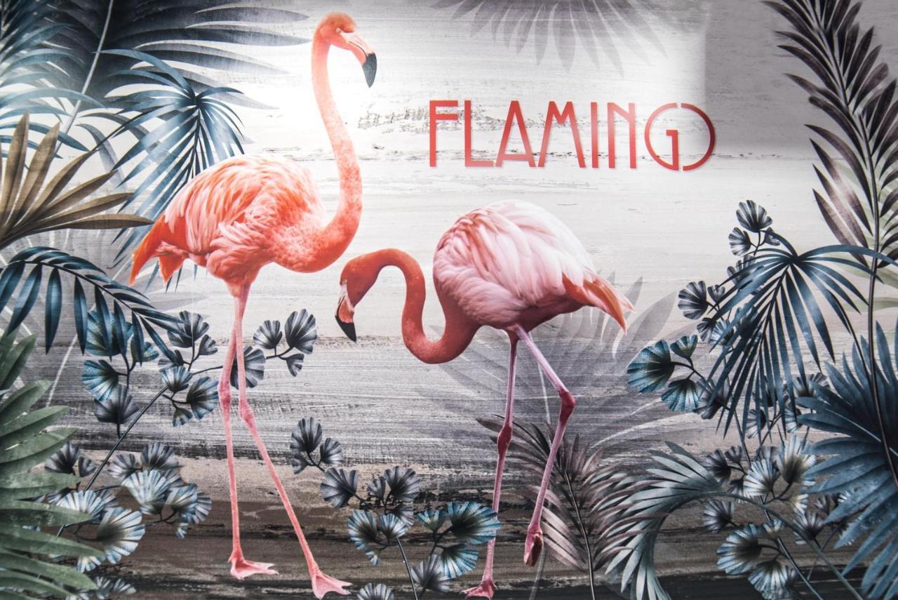 Appart hôtel Flamingo